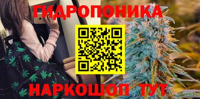 крисы Изобильный