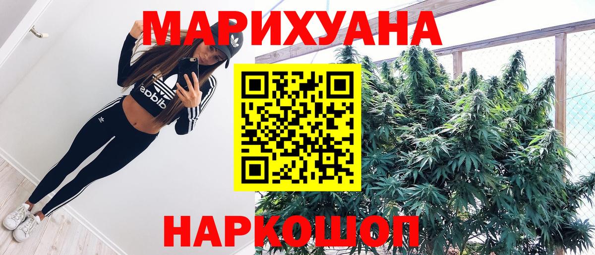 Кунгур  Шишки марихуана планчик  Вход с VPN  Конопля сатива  Канабис VHQ 